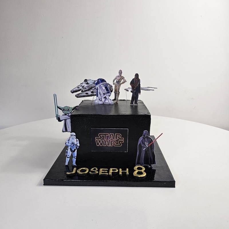 Square, Galactic Shadow Constellation, a bespoke Gourmet Cake by Cakes Designs 3NL